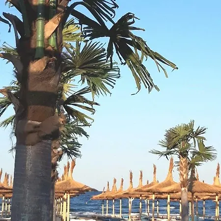 Seatime In Primul Rand La Mare